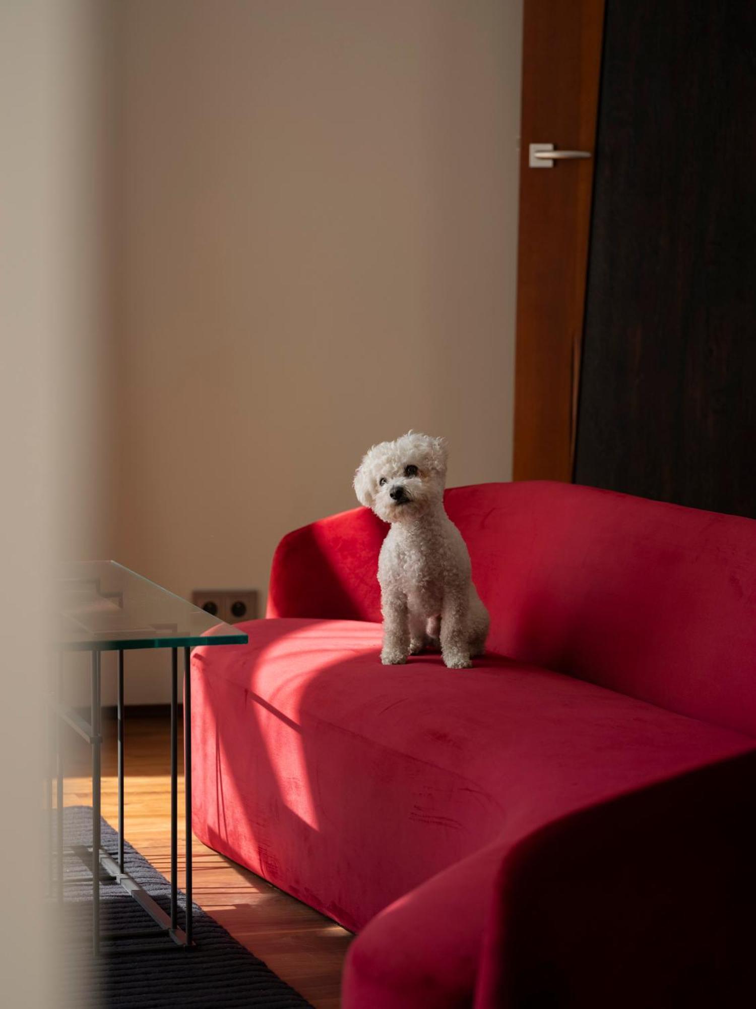 Hotel Monopol Wroclaw Dış mekan fotoğraf A Bolognese